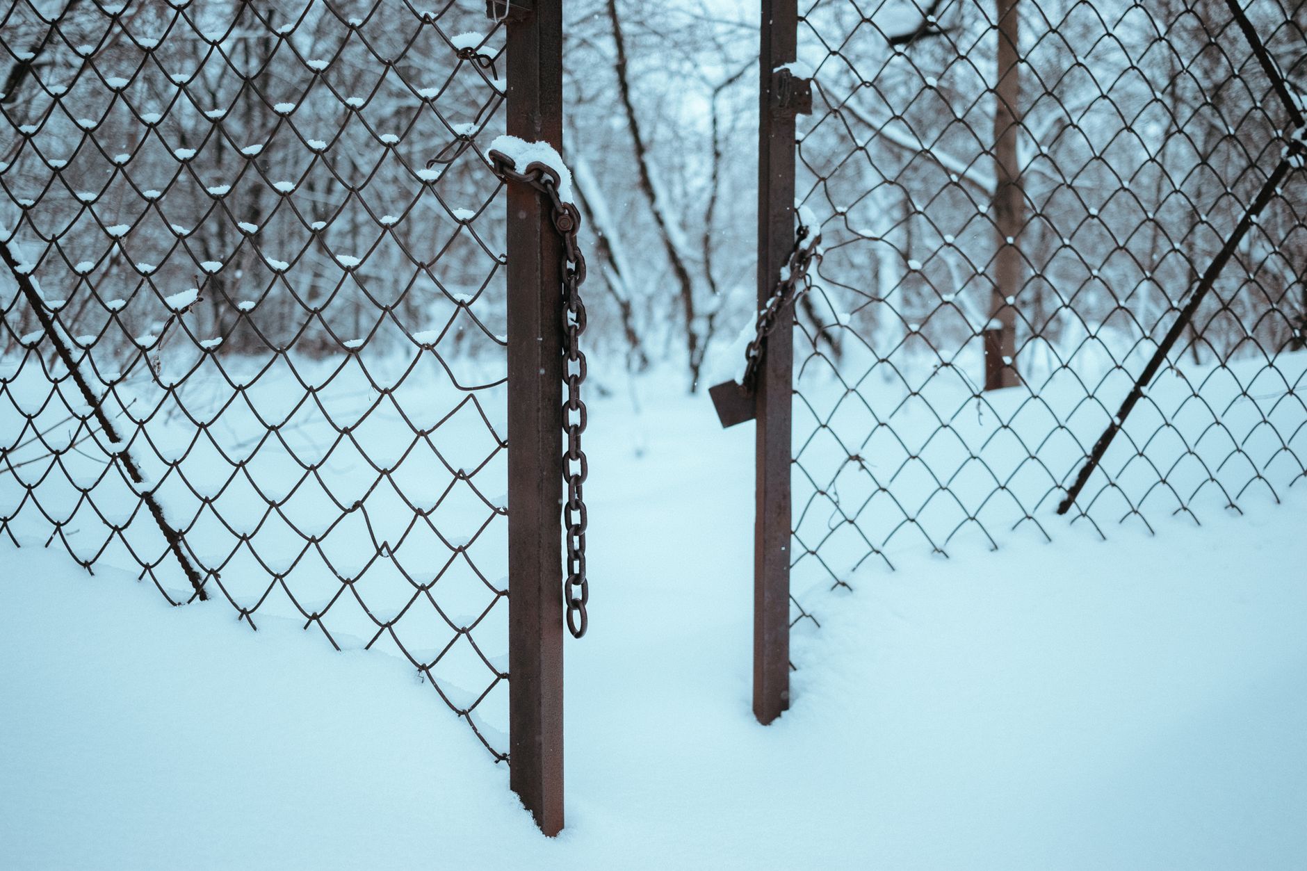 Close-up of a chain-link fence amidst a snowy forest landscape, evoking winter solitude in Pearland, TX